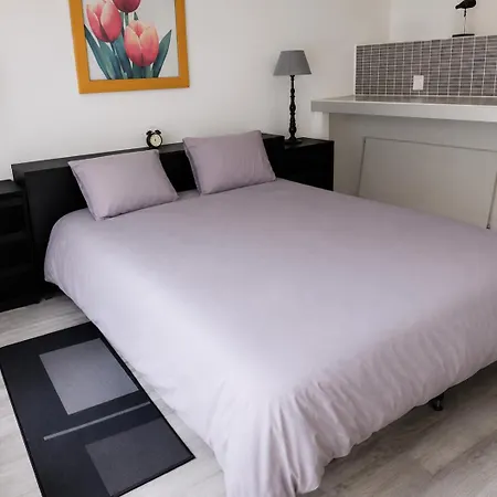 Maison Cosy Avec Terrasse • Proche Nantes Vigneux-de-Bretagne